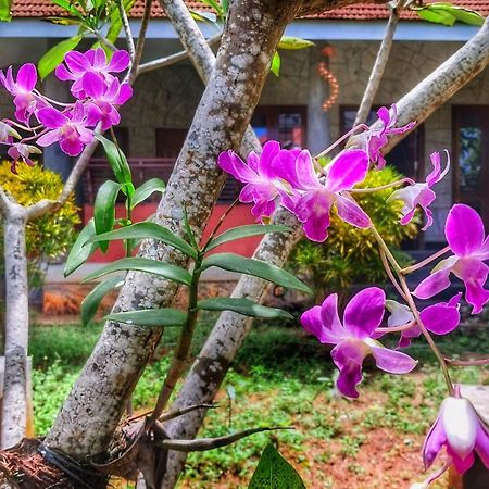Vedic Heritage Boutique Hotel Kovalam Luaran gambar