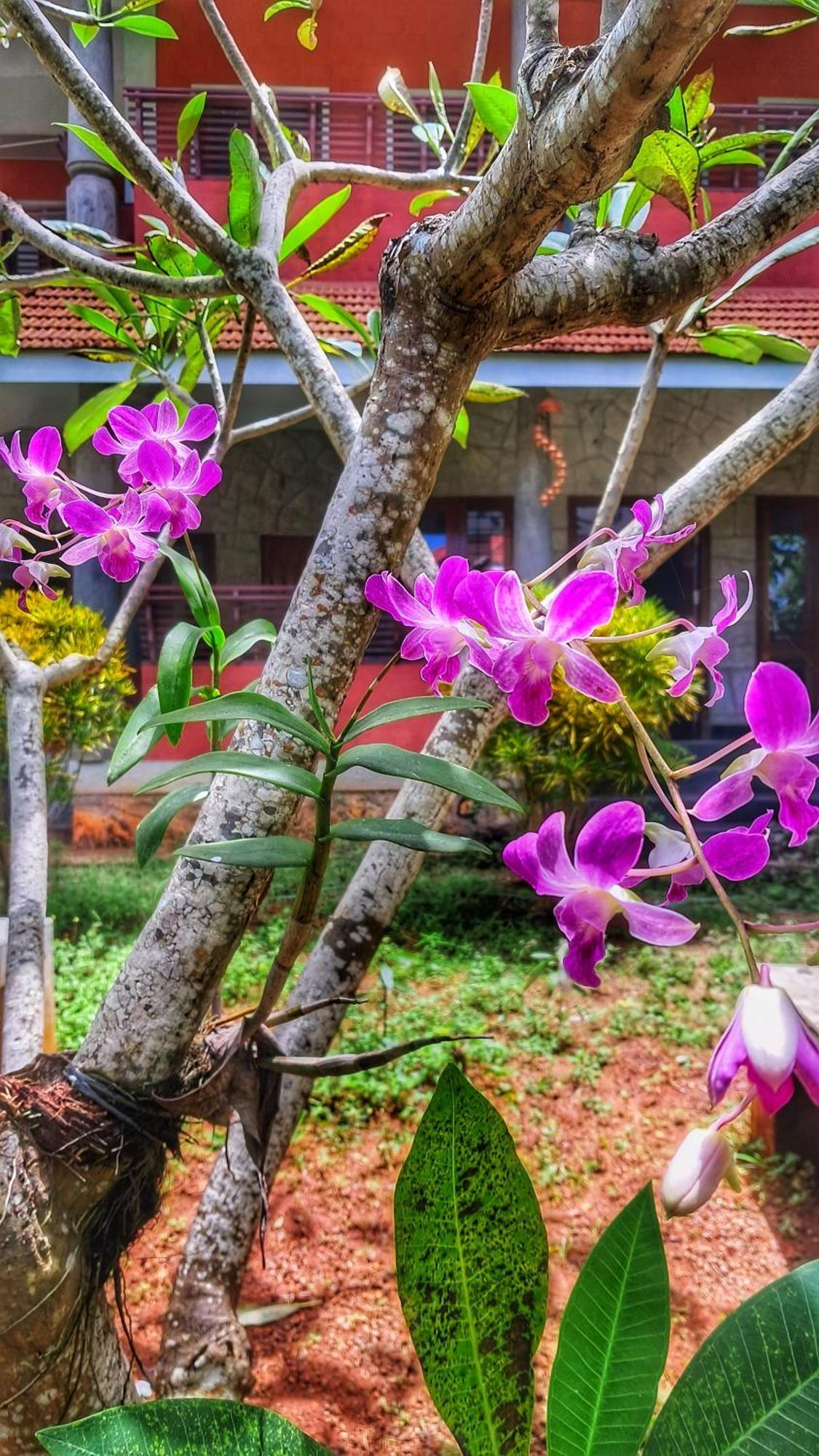 Vedic Heritage Boutique Hotel Kovalam Luaran gambar