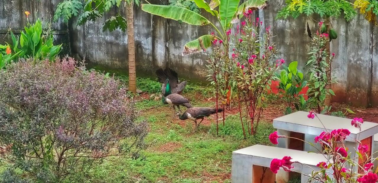 Vedic Heritage Boutique Hotel Kovalam Luaran gambar